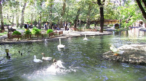 Kuğulu Park Yenileniyor