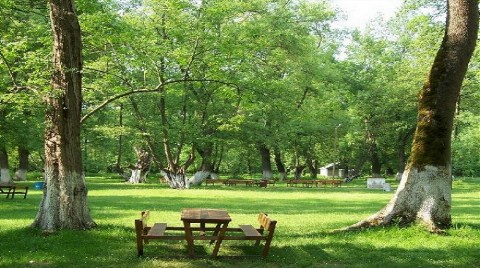 "Mesire Yerleri"ne Yeni Düzenleme!