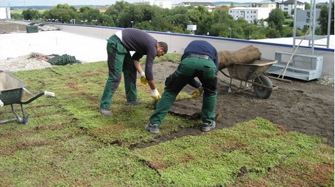 BTM Optigreen Yeşil Çatı Sistemleri 