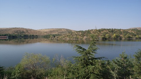 Beynam Ormanları Turizme Açılacak!