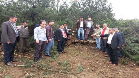 Sanayi Ortasındaki Tek Yeşil Alan Yok Ediliyor!