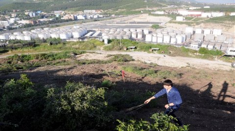 Sanayi Ortasındaki Tek Yeşil Alan Yok Ediliyor!