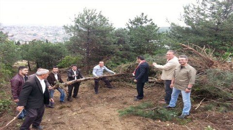 Sanayi Ortasındaki Tek Yeşil Alan Yok Ediliyor!