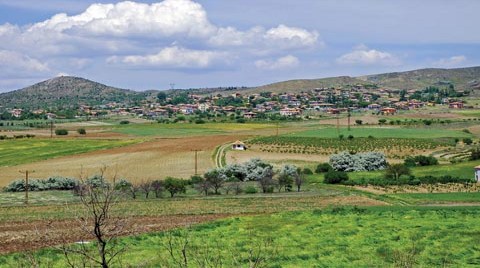 O Tepe “Şimdilik” Yeşil