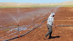 Güneydoğu'da Arazi Fiyatları Artacak, Peki Neden? 