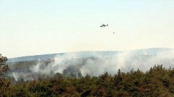 Beykoz'da Yine Orman Yangını!