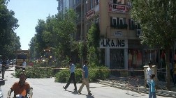 Burdur'da Ağaç Katliamına Tepki