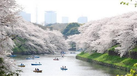 Ueno Park-Tokyo (Japonya)