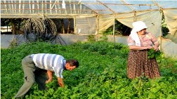 Gümüşdere Tarlalarına Atık Arıtma Tesisi!