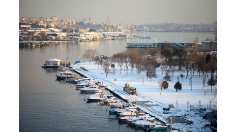 Gültekin Alkurt