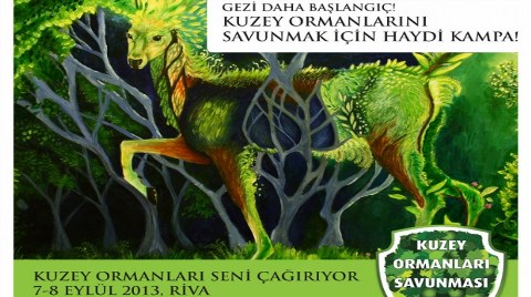 "Kuzey Ormanları için Mücadeleye Devam"