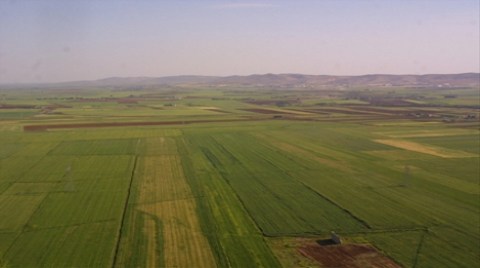 Hazineye Ait Tarım Arazilerinin Kaderi Belli Oldu