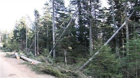 Artvin'de ÇED Öfkesi!