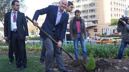 Papandreou Gezi Parkı'na Ağaç Dikti