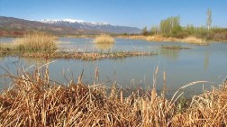 Doğunun Kuş Cennetine HES Projesi!