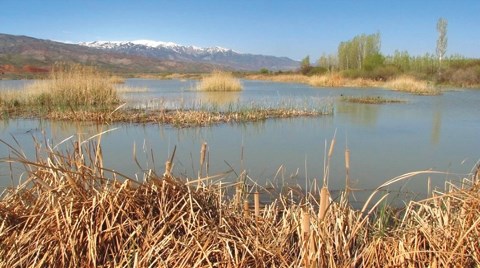 Doğunun Kuş Cennetine HES Projesi!