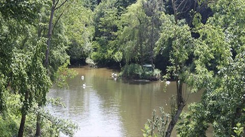 Mimarlar Odası'ndan Polonezköy Planlarına Dava