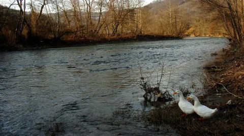 Bir Melen Projesi Vardı, O Aslında Yok!