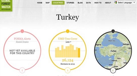 Türkiye, 12 Yılda İşte Bu Kadar Orman Kaybetti