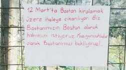 Kuzguncuklular Bostanları için Nöbette!