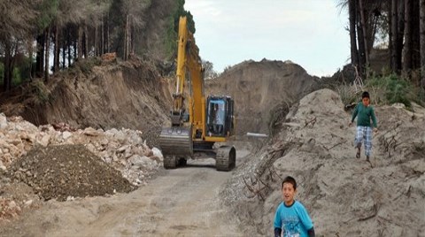 Otele Yol Açmak için Ağaç Katliamı Yapıldı