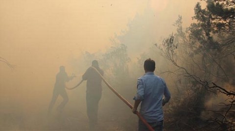 İstanbul'un Ormanları 10 Hektar Daha Azaldı!