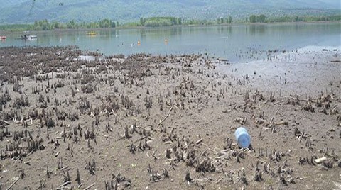 Su Park Kuraklığa Yenildi