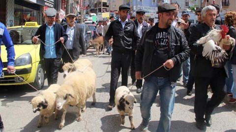 Giresun'da "Hayvanlı" HES Protestosu