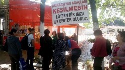 İzmir'de Asırlık Ağaçlar için Kampanya!