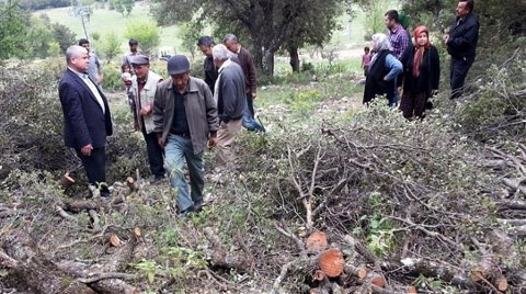 "Yetkililere Sesleniyoruz: Bu Kıyımı Durdurun!"