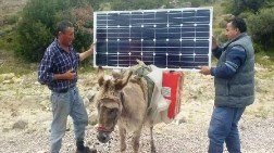 Eşek Sırtında Güneş Enerjisi