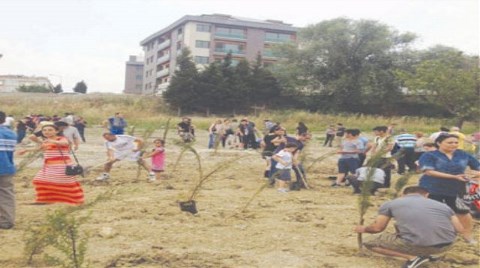 Halk Dikti, Belediye Söktü