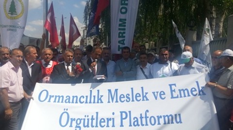 Ormancılık Çalışanlarından Bakan Eroğlu'na 'Kıyım' Mektubu