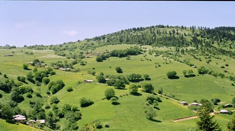 İnekler Ahırlara, Gökdelenler Meralara