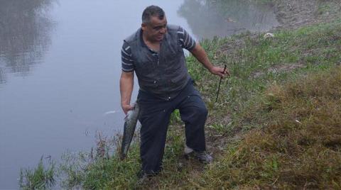 Gediz Nehri'nde Tehlike Çanları