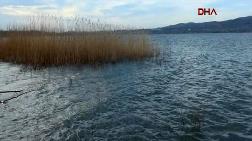 Sapanca Gölü'nde Su Seviyesi Maksimuma Ulaştı