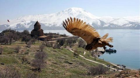 Akdamar Adası'ndaki Tavşanlar Toplanıyor 