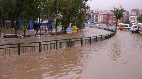 Marmara'ya Zehir Saçıyor