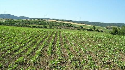 İstanbul'dan Kaçan Tekirdağ'a Yöneldi!