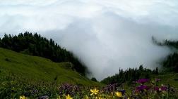 Yeşil Artvin Derneği'nden Açıklama