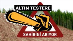 Altın Testere Ödülü Sahibini Arıyor