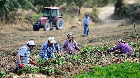 Nüfusun Yüzde 8'i Köyde Yaşıyor