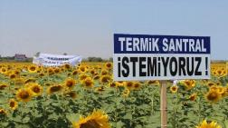 Termik Santral İçin Kamulaştırma Kararı