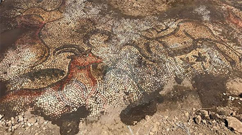 Adıyaman'da 1600 Yıllık Mozaik Bulundu