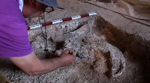 350 Bin Yıllık Kemik Parçaları Bulundu