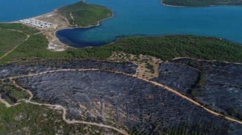 "Ayvalık'ta Yanan Yerlere Yeniden Uygun Ağaç Dikilsin"