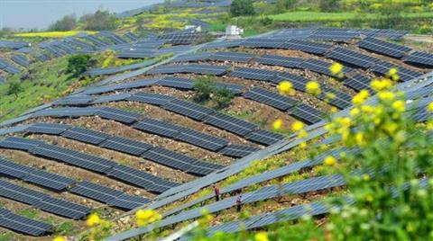 Sahra Çölü'ne 'Güneş Enerjisi Parkı' Projesi