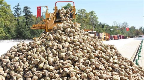 Susurluk Şeker Fabrikası’nda Kota Kaldırıldı