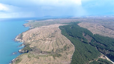 Sinop Nükleer Santral İçin 1415 Futbol Sahası Büyüklüğünde Alan 