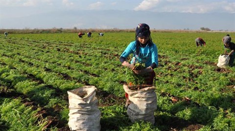 Genç Çiftçi Desteği İçin Son Gün 30 Nisan